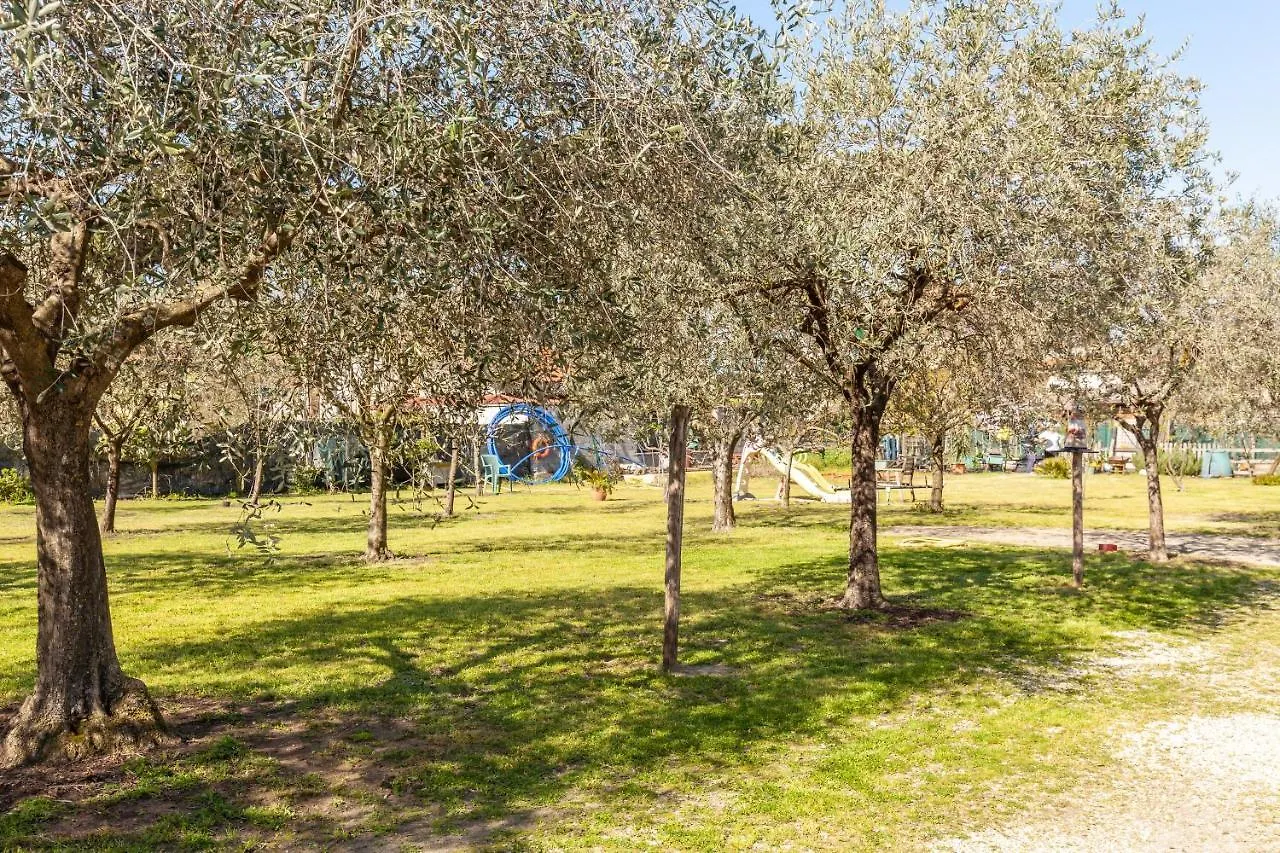 Holiday home Casina Del Glicine Villa Massa
